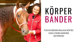 Körperbänder Anke Recktenwald zeigt dir wie dein Pferd mehr Schwung und Losgelassenheit bekommt [upl. by Broderic]