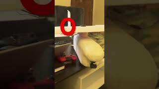 How to build a simple styrofoam plane [upl. by Eivlys]