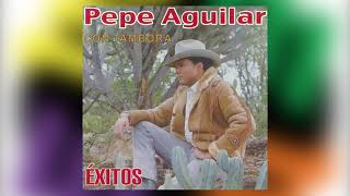 Cruz De Madera  Pepe Aguilar  Del Álbum Con Tambora Volumen III [upl. by Beaver]