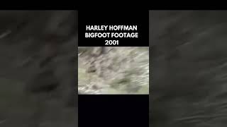 Bigfoot footage from Harley Hoffman circa 2001 [upl. by Francesco]