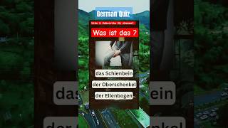 Learn German Quiz Was ist das deutsch shorts [upl. by Mackler]