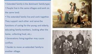 05 Theories of the Family Functionalism and Marxism [upl. by Favien838]