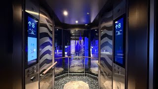 Amazing KONE Marine Polaris Traction Scenic Elevators  Sun Princess Cruise Ship [upl. by Niltyak462]