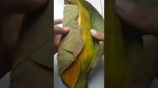 This is tempeh an Indonesian food wrapped in leaves shorts tempeh leaf [upl. by Avram941]