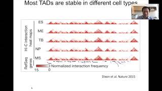 STAT115 Chapter 153 Topologically Associating Domains [upl. by Haonam]