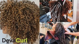 I Dyed My Hair Getting Pintura Highlights In My Curly Hair  Azlia Williams [upl. by Hayward889]