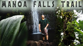 MANOA FALLS TRAIL  Honolulu  HAWAII O’ahu [upl. by Aitetel]