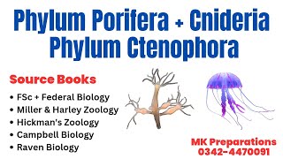 Phylum Porifera Phylum Cnideria amp Ctenophora Characteristics amp Classification  Kingdom Animalia [upl. by Morey]