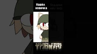 Good Tarkov shorts starman starmanmeme супермен неко necoarc memes meme мемы tarkov [upl. by Oinota]