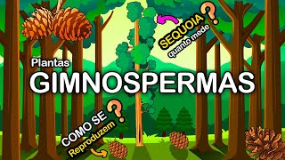 GIMNOSPERMAS – O GRUPO DAS PLANTAS TERRESTRES GIGANTES [upl. by Ronica]