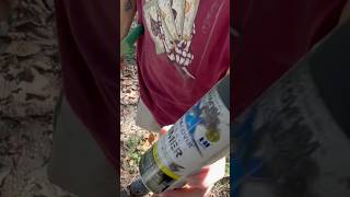 Getting Marble Out Of Spray Paint Can countrydiggers marble spraypaint [upl. by Lacram647]