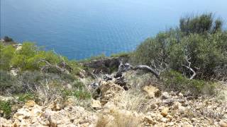 Hotel Palmira Beach in Paguera  Peguera Mallorca  Spanien Bewertung und Erfahrungen [upl. by Nialb]