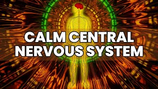 Music To Calm Central Nervous System  Instant Relief From Anxiety amp Stress  Repair Your Body Cells [upl. by Anilek183]