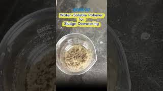 WaterSoluble Polymer for Sludge Dewatering Water Treatment Additives [upl. by Ezmeralda]