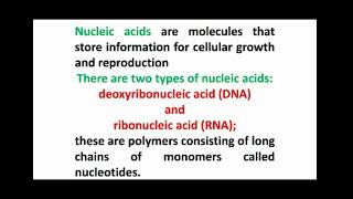 Nucleic Acid Definition [upl. by Lorelei]