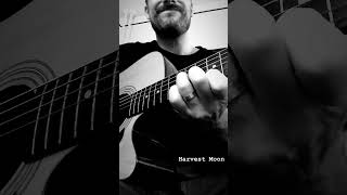 Neil Young  Harvest Moon Cover [upl. by Nawaj]