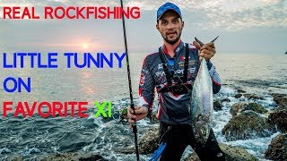 JIGHEAD TV Little Tunny Tuna from shores of Dibba UAE Rock fishing [upl. by Caro]