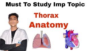 Explore The Imp Topic In Thorax Anatomy  1 st year professional exam [upl. by Delp]