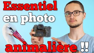 Regardez Ceci Avant de Débuter la Photographie Animalière [upl. by Nryhtak]