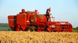 Classic Combine Week 6 Massey Ferguson 510 [upl. by Assetan]