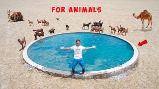 We Build Private Swimming Pool For Animals  In Desert [upl. by Preiser]