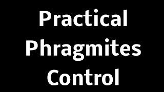 Practical Phragmites Control Meeting  Clay Twp Presentation [upl. by Rahm499]