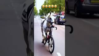 Funniest Horse Bicycle Riding Caught on Camera [upl. by Celinda679]