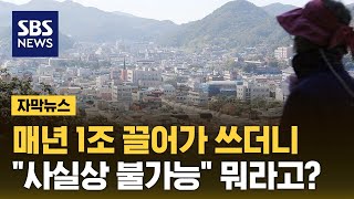 매년 1조 끌어가 쓰더니…quot사실상 불가능quot 뭐라고 자막뉴스  SBS [upl. by Dita662]