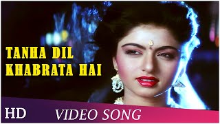 Tanha Dil Ghabrata Hai  Tyagi 1992  Bhagyashree  Himalaya  Bappi Lahiri Hits  Hindi Songs [upl. by Elvyn100]