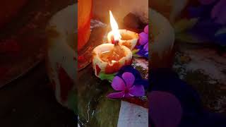 Tulasamma Pooja 🙏 like share subscribe [upl. by Htiderem]