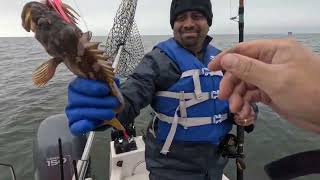 Crabbing debut at Bodega Bay [upl. by Britteny]