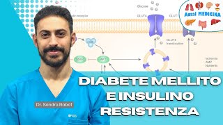 Diabete mellito ed insulino resistenza Liv università [upl. by Gerrie858]