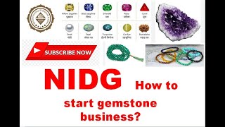 How to start a Gemstone business with NIDG जवाहरात के व्यापार का प्रशिक्षण सीखे [upl. by Ahtamat]