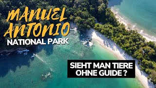 Lohnt sich der Manuel Antonio National Park ohne Guide Manuel Antonio Walking Tour [upl. by Sharona]