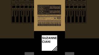 Suzanne Ciani  Buchla Concerts 1975 Excerpt [upl. by Lucier]