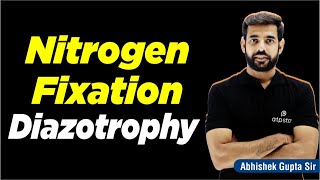 Biological Nitrogen Fixation  Diazotrophy   NEET Biology  ATP Star Kota [upl. by Georgette]