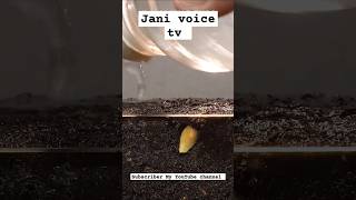 30 deys And 30 second 🥈plants time newplant janivoicetv janimediaofficial shorts [upl. by Nilcaj]