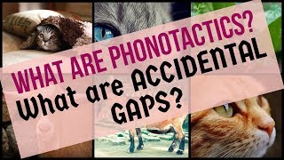 What Are Phonotactics  What are Accidental Gaps  Lecture 22  Phonology   UrduHindi [upl. by Carberry]