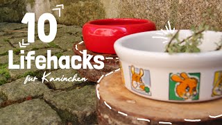 10 Lifehacks für Kaninchenbesitzer Tipps amp Tricks [upl. by Silvana]