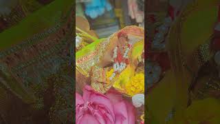 Kamal wasini good bhaktisong happy laxmibhajan laxmipuja [upl. by Ob]