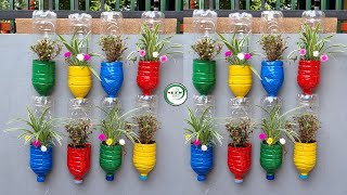 Colorful Garden from Plastic Bottles  Stunning vertical garden using plastic bottles [upl. by Ahsienot]