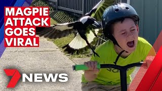 Australian boys magpie attack caught on camera  7NEWS [upl. by Enilada599]