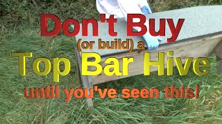 Dont Buy or Build a Top Bar Hive  until you have watched this [upl. by Kitchen955]