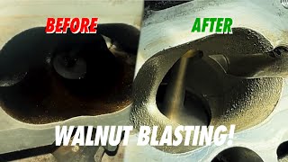 WALNUT BLASTING FIX RESTORE RACE UNLEASH THE BEAST WITHIN REGAIN SOME LOST HORSEPOWER [upl. by Itin]