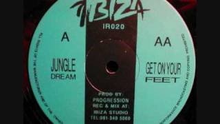 Progression  Jungle Dream Ibiza Records [upl. by Leugimsiul953]