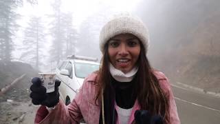 SHIMLA TOUR PART 1  AG VLOGS EP 14  AMRITHA SURESH [upl. by Anaehs]