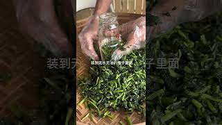 萝卜打下来的底叶拿来制作酸菜三碗米饭都嫌不够。关注我一起学种菜 种植小技巧 三农 [upl. by Hafler351]