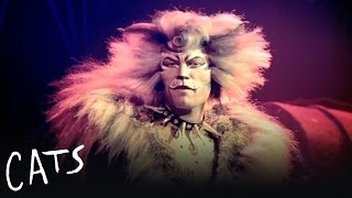 The Rum Tum Tugger  Cats the Musical [upl. by Zolly]