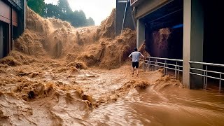 MOMENTOS NA NATUREZA QUE ACONTECEM UMA VEZ EM UM BILHÃO [upl. by Asseralc]