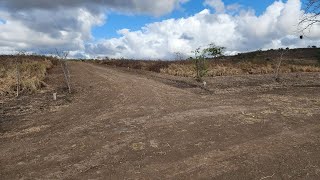 LOTES À VENDA NO LOTEAMENTO RURAL JENIPAPO PASSIRA PERNAMBUCO [upl. by Ecitnirp534]